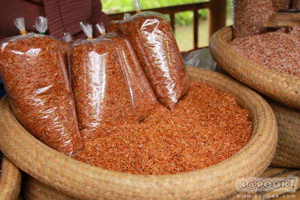ตลาดเกษตรอินทรีย์ ตลาดเกษตรอินทรีย์