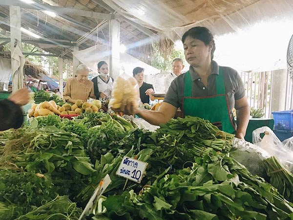 ตลาดเกษตรอินทรีย์ ตลาดเกษตรอินทรีย์