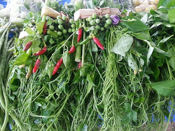 ตลาดเกษตรอินทรีย์ ตลาดเกษตรอินทรีย์