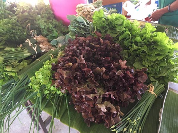 ตลาดเกษตรอินทรีย์ ตลาดเกษตรอินทรีย์