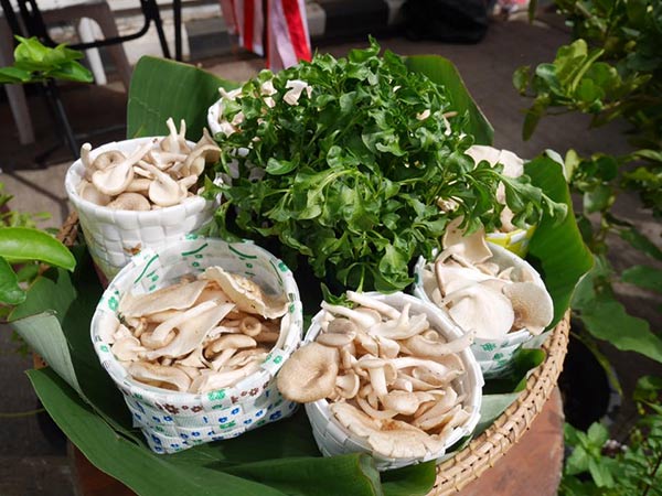 ตลาดเกษตรอินทรีย์ ตลาดเกษตรอินทรีย์