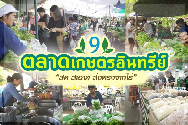 ตลาดเกษตรอินทรีย์ ตลาดเกษตรอินทรีย์