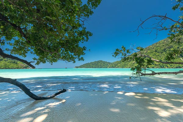 สถานที่ท่องเที่ยวหมู่เกาะสุรินทร์ สถานที่ท่องเที่ยวหมู่เกาะสุรินทร์