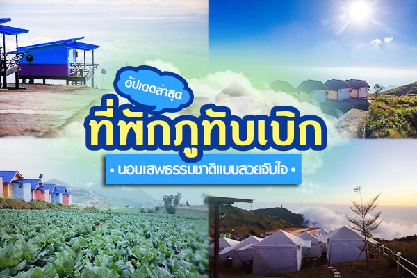 ที่พักภูทับเบิก ที่พักภูทับเบิก