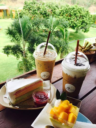 ร้านกาแฟบนต้นไม้ ร้านกาแฟบนต้นไม้