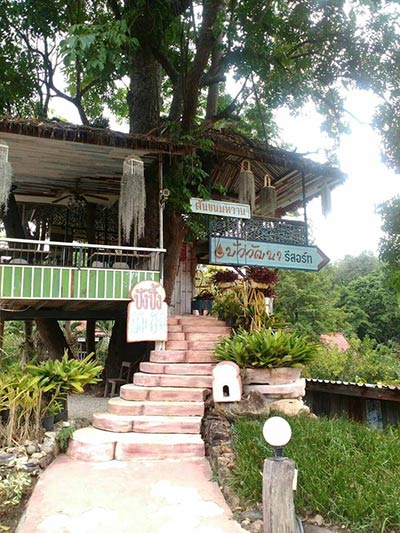 ร้านกาแฟบนต้นไม้ ร้านกาแฟบนต้นไม้