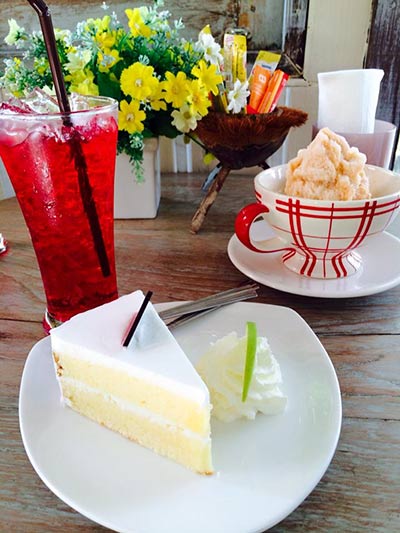 ร้านกาแฟบนต้นไม้ ร้านกาแฟบนต้นไม้