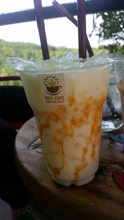 ร้านกาแฟบนต้นไม้ ร้านกาแฟบนต้นไม้