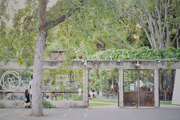 ร้านกาแฟบนต้นไม้ ร้านกาแฟบนต้นไม้