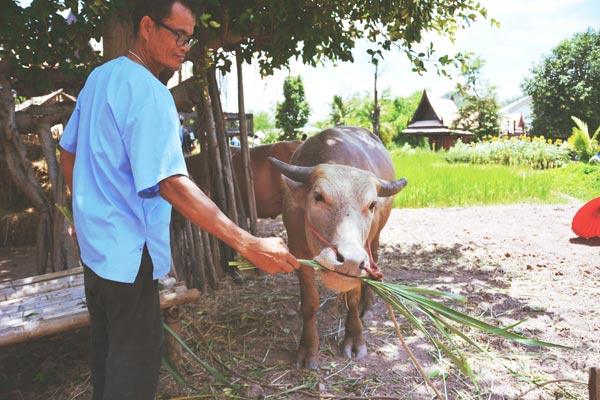 เที่ยวกาญจนบุรี 1 วัน เที่ยวกาญจนบุรี 1 วัน