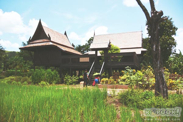 เที่ยวกาญจนบุรี 1 วัน เที่ยวกาญจนบุรี 1 วัน