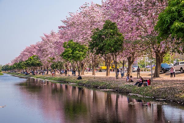 สถานที่เที่ยวเดือนกุมภาพันธ์ สถานที่เที่ยวเดือนกุมภาพันธ์