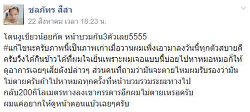 3 ลูกหมาเปิดศึกงูเขียว แต่เจอฉกหน้าบวมฉึ่ง 3 ลูกหมาเปิดศึกงูเขียว แต่เจอฉกหน้าบวมฉึ่ง
