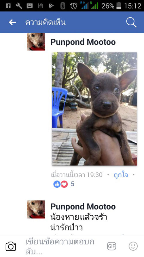 3 ลูกหมาเปิดศึกงูเขียว แต่เจอฉกหน้าบวมฉึ่ง 3 ลูกหมาเปิดศึกงูเขียว แต่เจอฉกหน้าบวมฉึ่ง