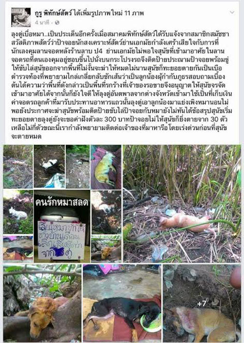 นักเลงคุมที่จอดรถฉุนหมาจร วางยาเบื่อตายเป็นเบือ นักเลงคุมที่จอดรถฉุนหมาจร วางยาเบื่อตายเป็นเบือ