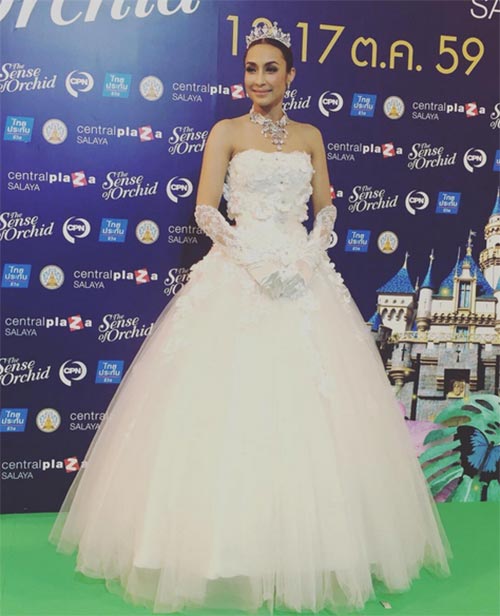 แคทรียา อิงลิช แคทรียา อิงลิช