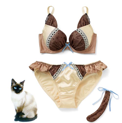 ชุดชั้นในแมวเหมียว ชุดชั้นในแมวเหมียว