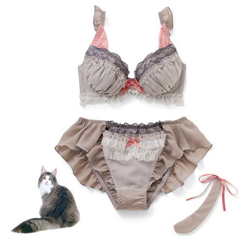 ชุดชั้นในแมวเหมียว ชุดชั้นในแมวเหมียว