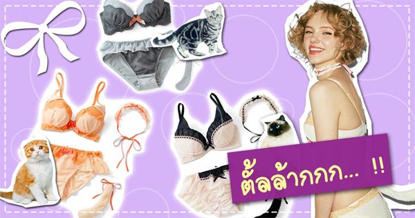 ชุดชั้นในแมวเหมียว ชุดชั้นในแมวเหมียว