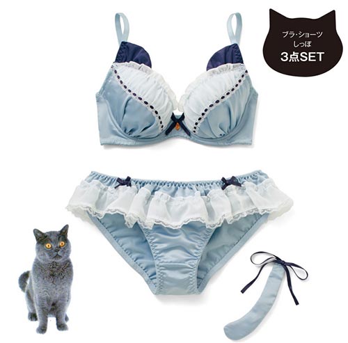 ชุดชั้นในแมวเหมียว ชุดชั้นในแมวเหมียว
