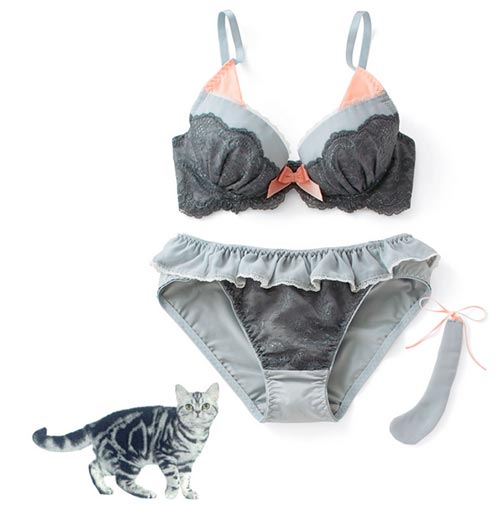 ชุดชั้นในแมวเหมียว ชุดชั้นในแมวเหมียว