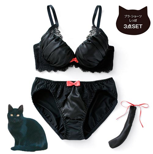 ชุดชั้นในแมวเหมียว ชุดชั้นในแมวเหมียว