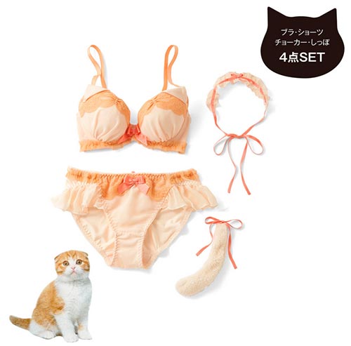 ชุดชั้นในแมวเหมียว ชุดชั้นในแมวเหมียว