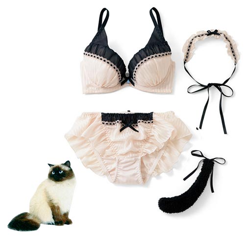 ชุดชั้นในแมวเหมียว ชุดชั้นในแมวเหมียว