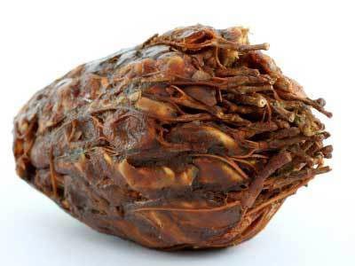 นมจืดพอกหน้าได้ไหม นมจืดพอกหน้าได้ไหม