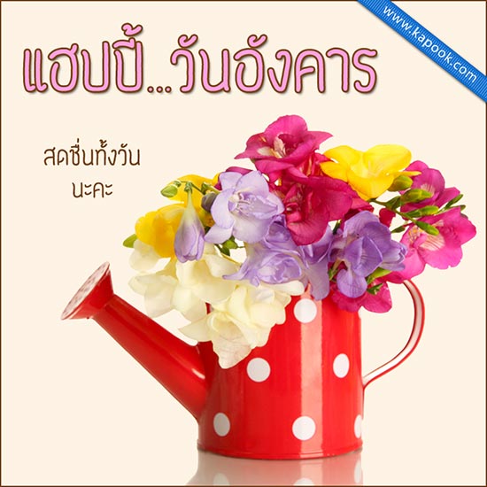 ดูดวงรายวัน ดูดวงรายวัน