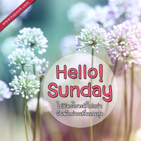 ดูดวงรายวัน ดูดวงรายวัน