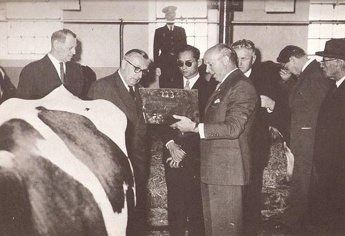 อาชีพพระราชทาน อาชีพพระราชทาน