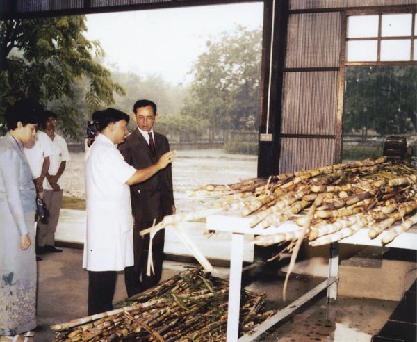 พระราชดำริด้านพลังงาน พระราชดำริด้านพลังงาน