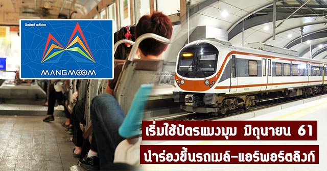 บัตรแมงมุม บัตรแมงมุม