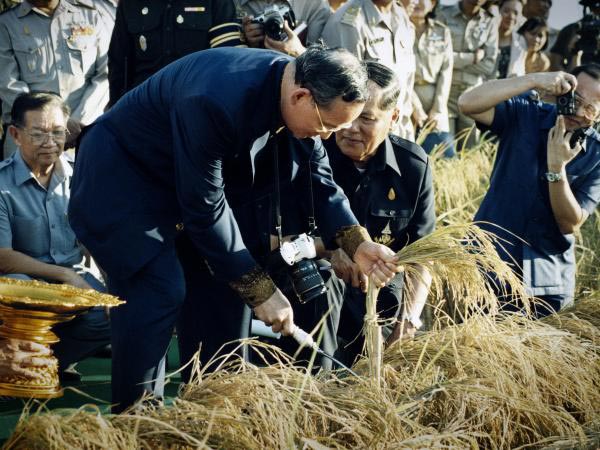 อาชีพพระราชทาน อาชีพพระราชทาน