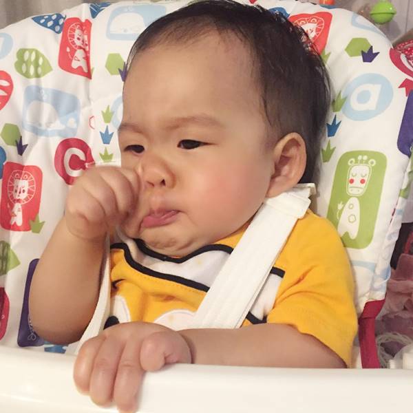 น้องเป่าเปา น้องเป่าเปา