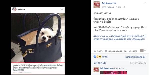 แก้ม กวินตรา แก้ม กวินตรา