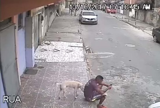 มิตรภาพคนกับสุนัข มิตรภาพคนกับสุนัข
