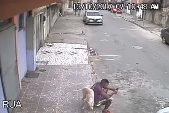มิตรภาพคนกับสุนัข มิตรภาพคนกับสุนัข