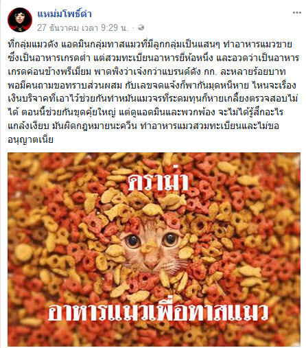 อาหารแมวปลอม อาหารแมวปลอม