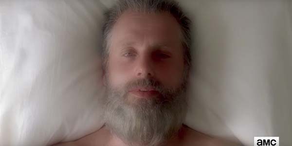 The Walking Dead The Walking Dead