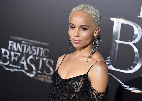 Fantastic Beasts Fantastic Beasts