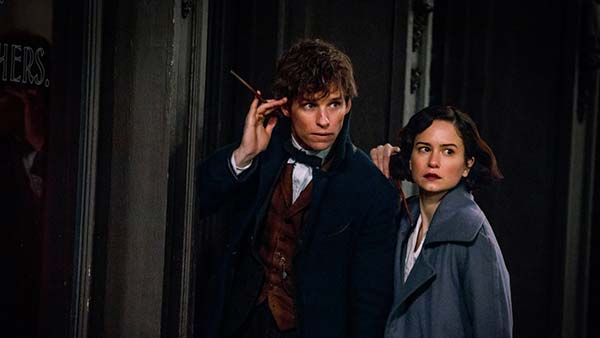 Fantastic Beasts Fantastic Beasts