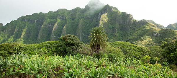 Jurassic World 2 Jurassic World 2