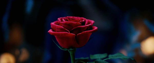 Beauty and the Beast Beauty and the Beast