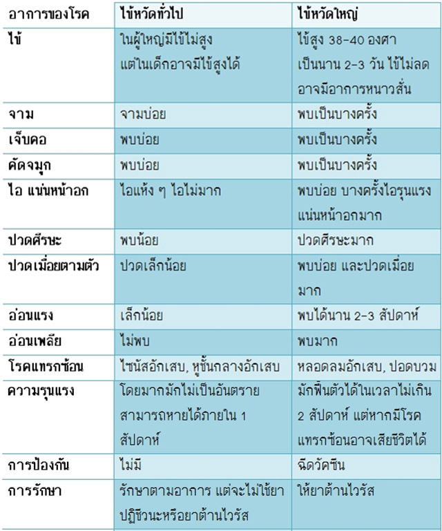 ไข้หวัดใหญ่ ไข้หวัดใหญ่