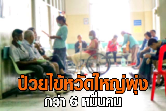 ไข้หวัดใหญ่ ไข้หวัดใหญ่