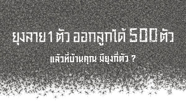 ยุงลาย ยุงลาย