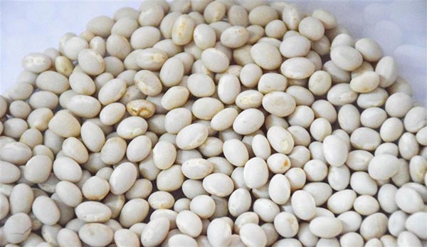 ถั่วขาว ถั่วขาว