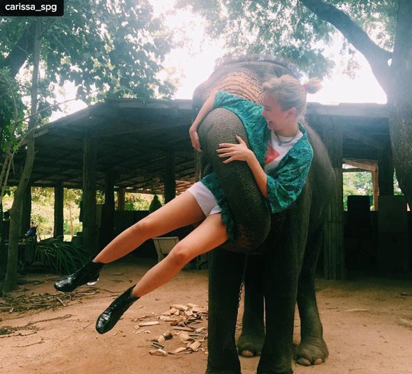 นท คารีสา นท คารีสา